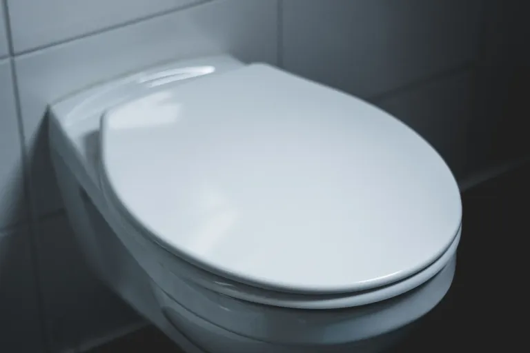 Wit hangend toilet in een lichte, minimalistische badkamer, weer vrij na een verstopping